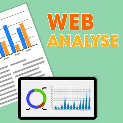 Web Analytics